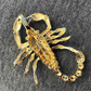 Men's 14k Yellow Gold Scorpion Pendant  customdiamjewel   