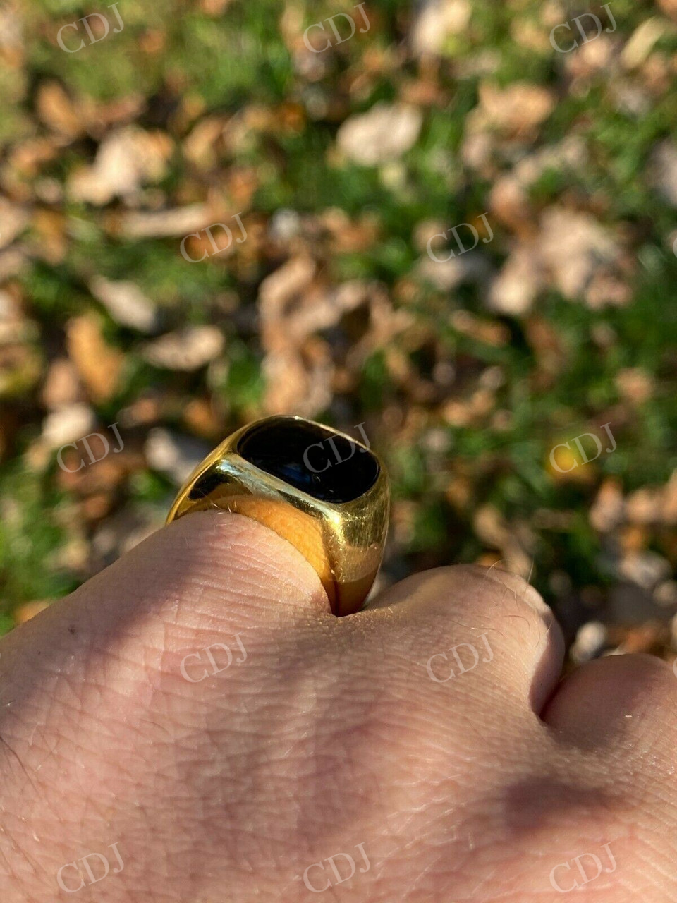 Black Onyx Men's Signet Ring  customdiamjewel   