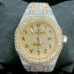 AP Natural Diamond Studded Two Tone Stainless Steel Band Luxurious Watch  customdiamjewel   